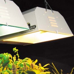 Кои лампи са най-подходящи за отглеждане на растения?
