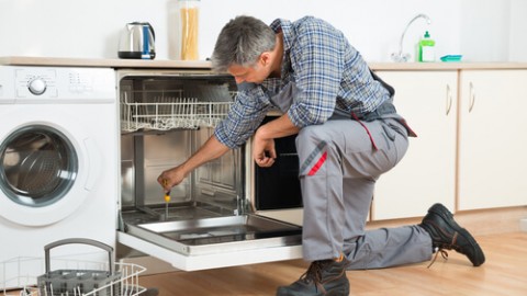 How to replace a heater in a dishwasher - 10 steps to success